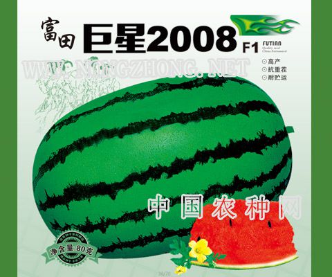 富田巨星2008